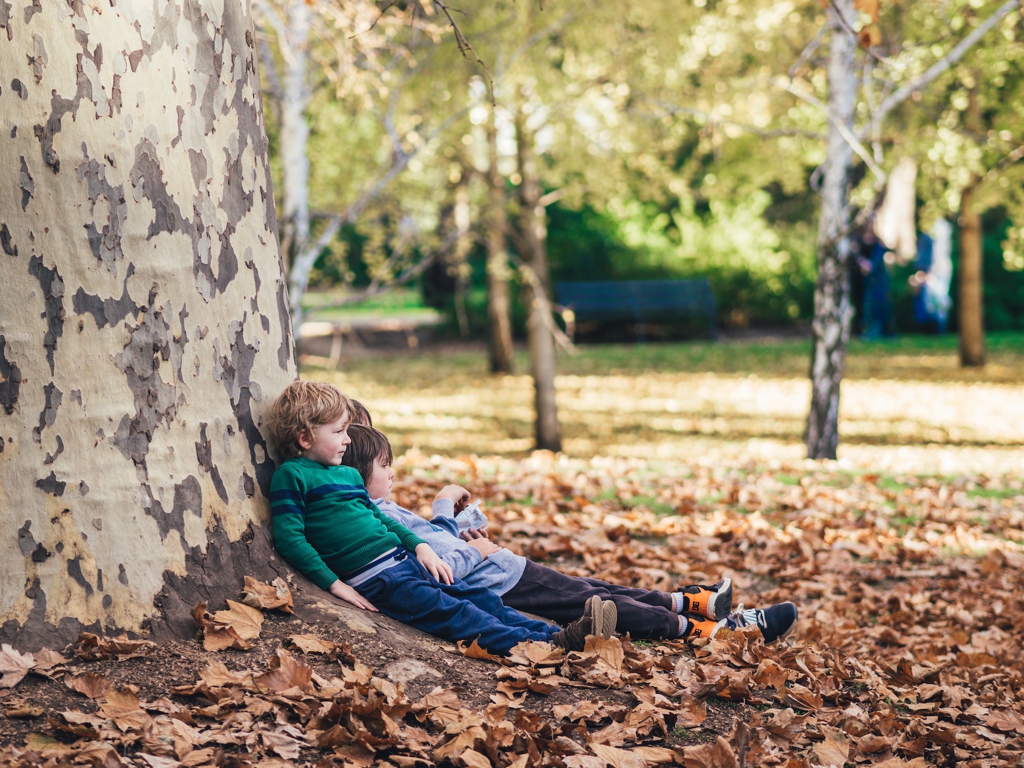 Three independent kids lying under a large tree in autumn